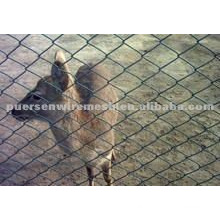 green PVC coated chain link fence